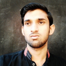 Muhammad Javed Ali