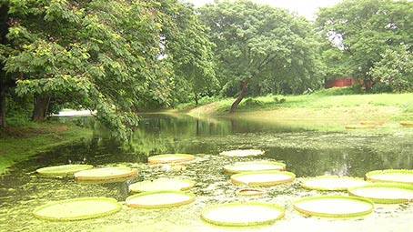 13 Best Water And Amusement Parks In Kolkata For Kids