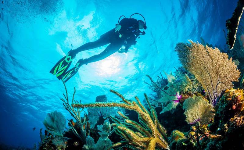 40 Offbeat Things To Do In Mumbai To Explore The City!