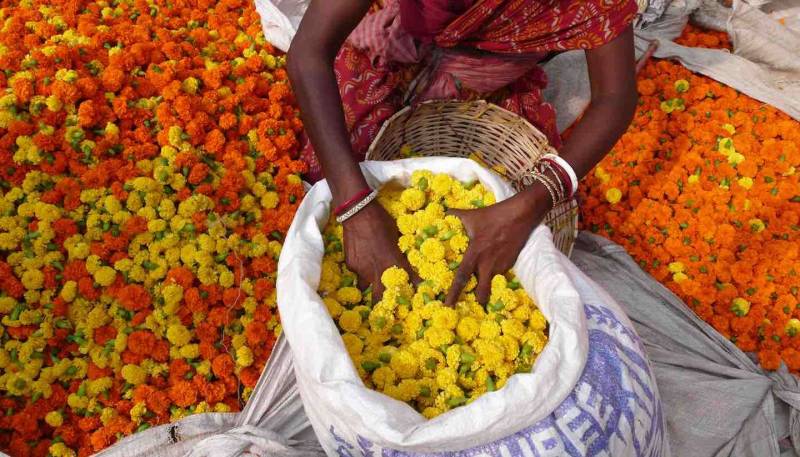 Kolkata (calcutta) - World Travel Guide