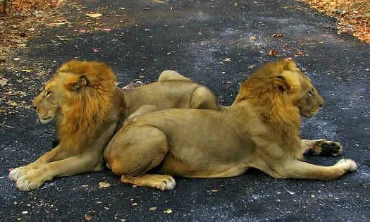 Mumbai’s Tourist Places And Things To Do For Families With Kids | Wonderful Mumbai