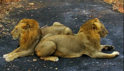 Mumbai’s Tourist Places And Things To Do For Families With Kids | Wonderful Mumbai