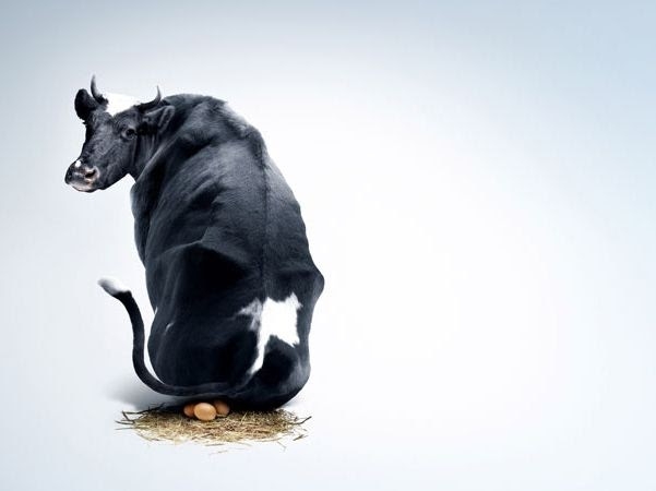 जुलाई की कहानी: "हम एक से"