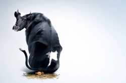 कहानी: \" हॆप्पी न्यू ईयर\"