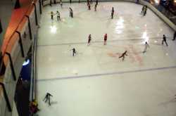 ३ नोव्हेंबर - चौदावा दिवस