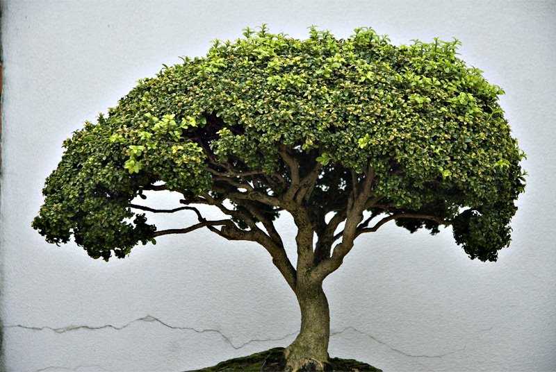 अभी समय है...