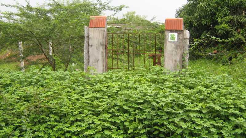 மன்னார் சொன்ன யோசனை