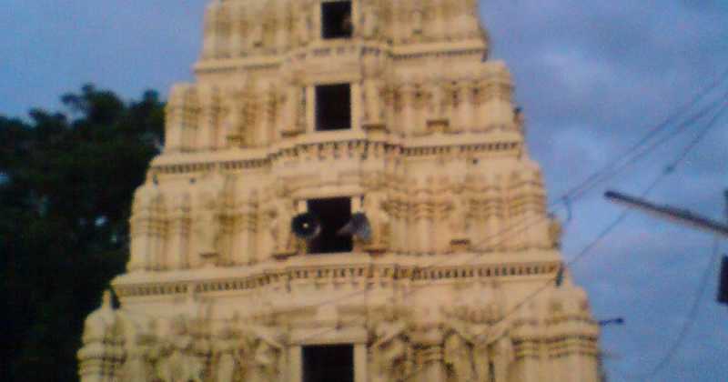 తెలుగు పతాక ఆవిష్కరణ, తెలుగు శాసనాల మ్యూజియం