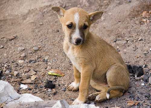 आज ३ अप्रेल का दिन