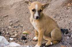 आज ३ अप्रेल का दिन