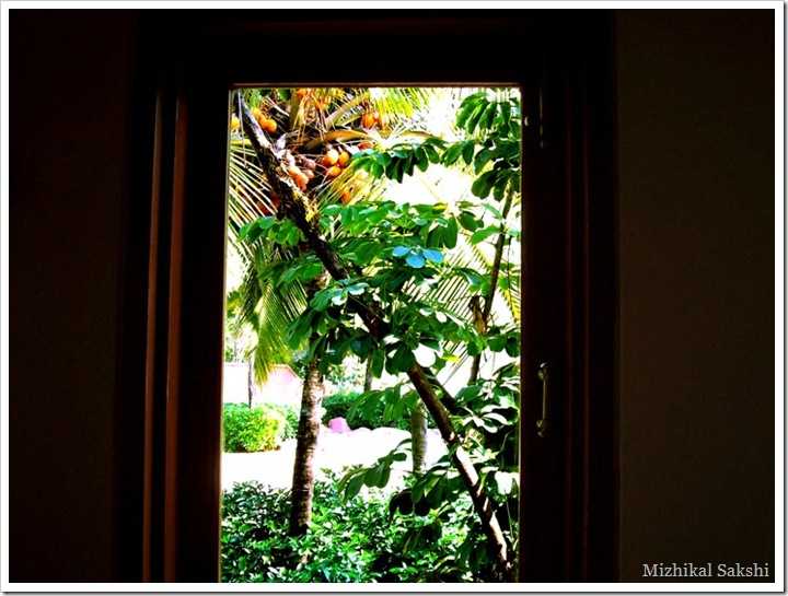 ചില്ലു വാതില്‍..