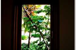 ചില്ലു വാതില്‍..