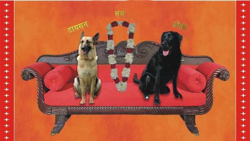 सुनो!! तुम लौट आना