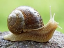 बाल कहानी : जादुई रंग बक्सा