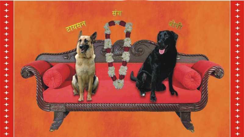 छोटा-सा तिनका हवा का रुख बताता है