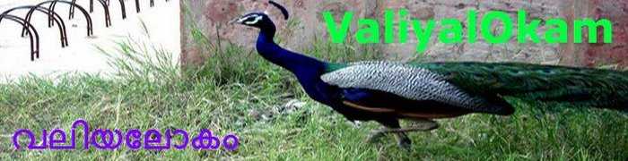 സൌന്ദര്യം ശാപമാകുന്നത്.