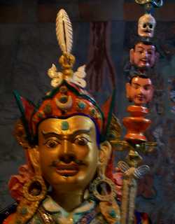 परिंदा या दरिंदा