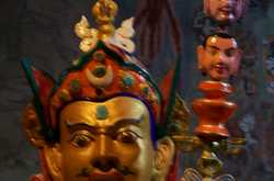 परिंदा या दरिंदा