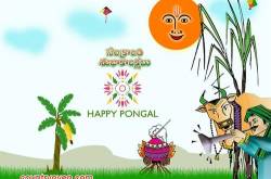 సెటైర్: ఓటరు - గ్రేటరు