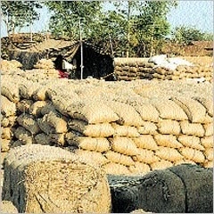 अन्न-पूजा