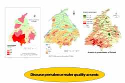 काश सतही रिपोर्टों से पंजाब का मालवा क्षेत्र कैंसर निष्प्रभावित हो जाए