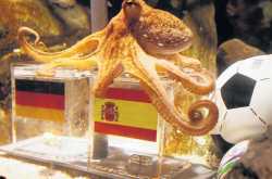 ऑक्‍टोपस बाबा की जय...!