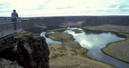 अम्मा आज भी रोती है...