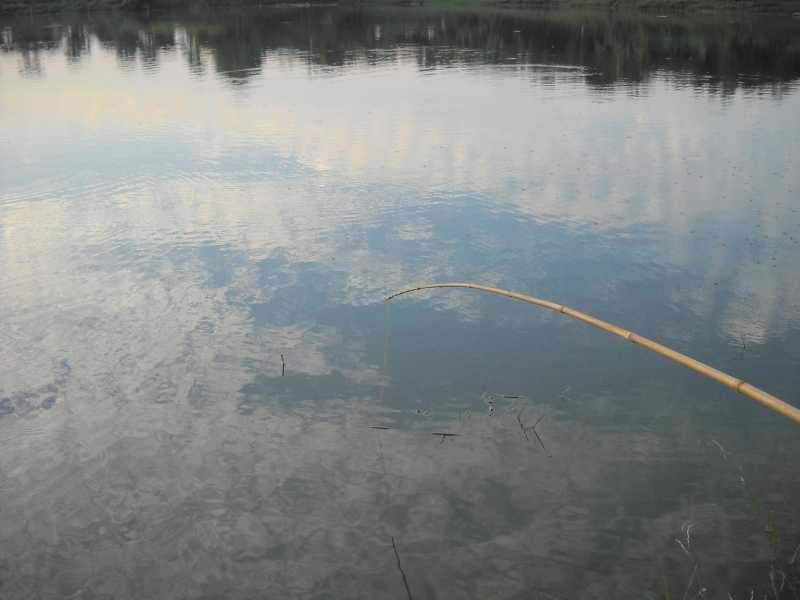 বিলক্ষণ