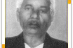 दाऊ दुलार सिंह मंदराजी