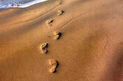 तू ना जाने आस पास है खुदा