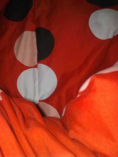 রাজধানী