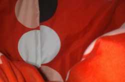 রাজধানী