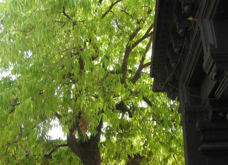 அதிமுக- கம்யூனிஸ்ட் உடன்பாடு