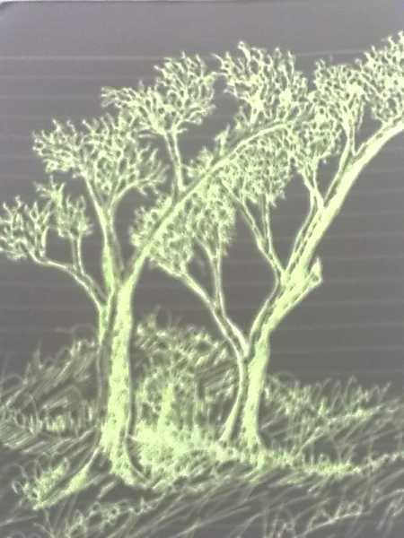 সুরঞ্জনা