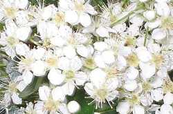 अलविदा मुंशीजी