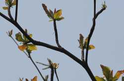 जिन्दगी