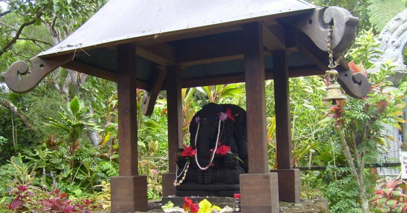 सेव्हन अप, सिएरा मिस्ट आणि १५००० डॉलर्स