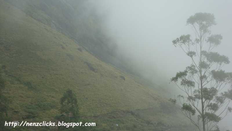 മഞ്ഞു പൊതിഞ്ഞ താഴ്‌വാരം