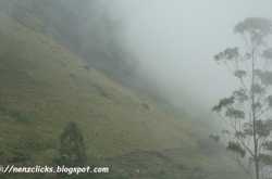 മഞ്ഞു പൊതിഞ്ഞ താഴ്‌വാരം