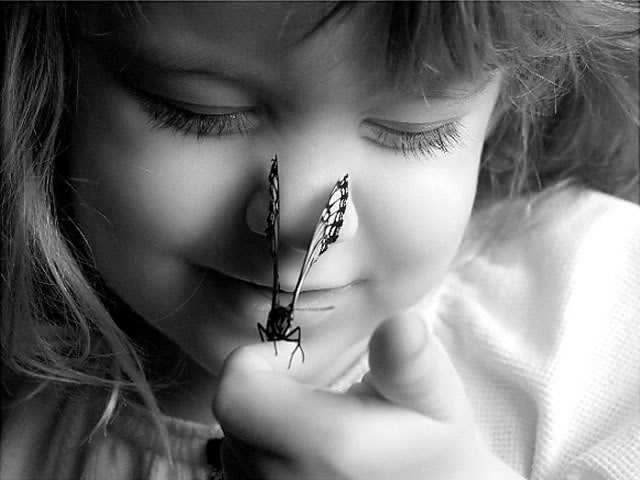 நட்சத்திர பாப்பாத்தி