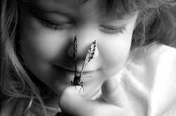 நட்சத்திர பாப்பாத்தி