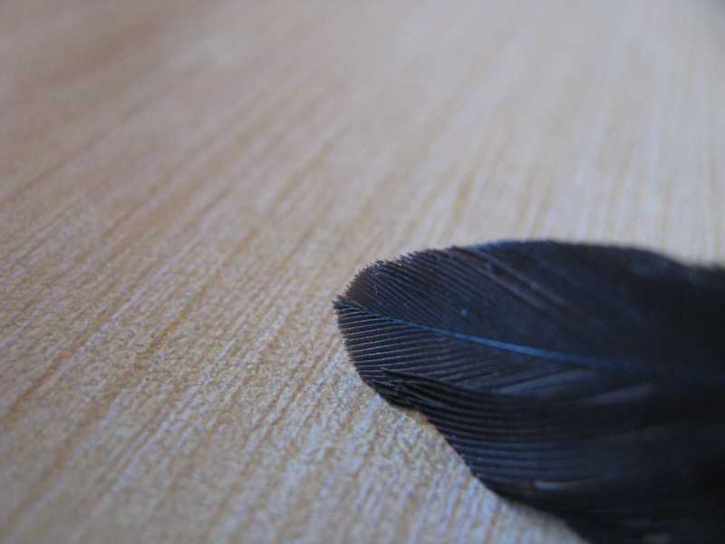 आणखी काही छायाचित्रे