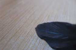 आणखी काही छायाचित्रे