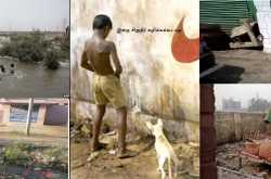 கழிப்பறைகள் இல்லாத இந்தியா!!! இந்தியாவின் மிகப்பெரிய அசிங்கம்