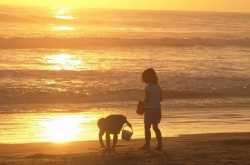 कमरे की वो काठ की अलमारी