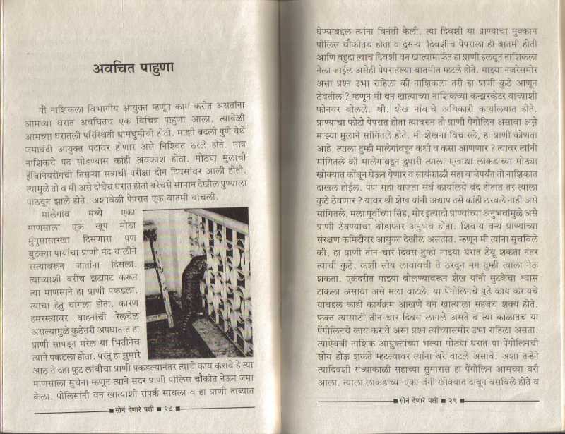 अवचित पाहुणा