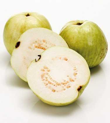 జామ పండ్లు ఎక్కువగా తినండి...మీ ఆరోగ్యాన్ని బలపరుచుకోండి