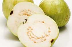 జామ పండ్లు ఎక్కువగా తినండి...మీ ఆరోగ్యాన్ని బలపరుచుకోండి