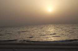 कलेजे को समन्दर किया होता