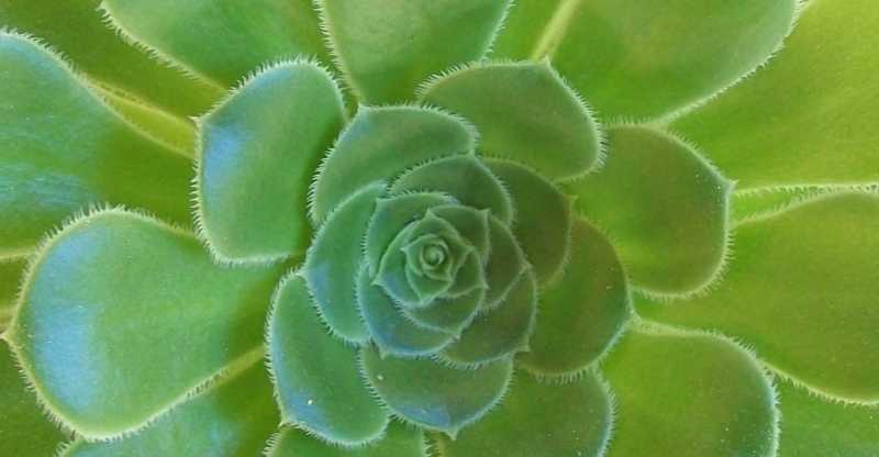 गुबार ए दिल